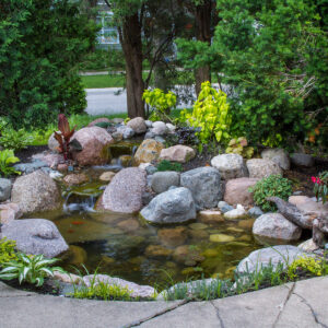 Small Pond Landscaping Ideas